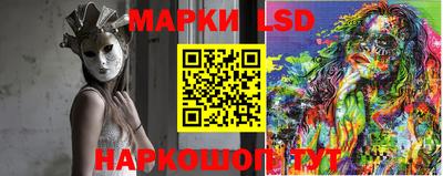 спиды Кингисепп