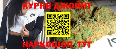 спиды Кингисепп