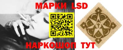 спиды Кингисепп