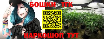 спиды Кингисепп