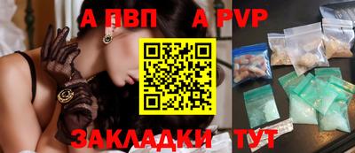 спиды Кингисепп