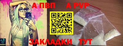 спиды Кингисепп