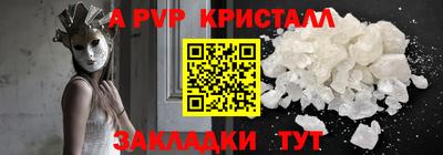 спиды Кингисепп