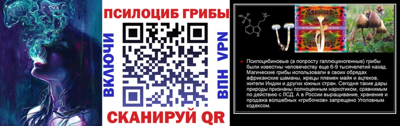 закладки  Можайск  Галлюциногенные грибы Magic Shrooms 